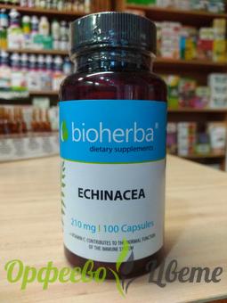 ХРАНИТЕЛНИ ДОБАВКИ Антиоксиданти БИОХЕРБА ЕХИНАЦЕЯ капсули 210 мг * 100 / Bioherba Echinacea 210 mg *100